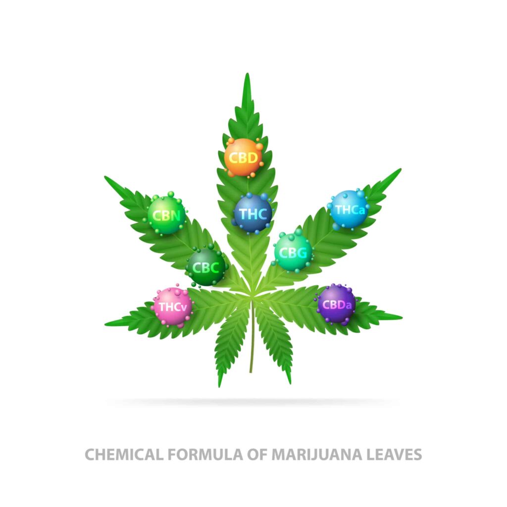A green leaf with colorful jewels on it.